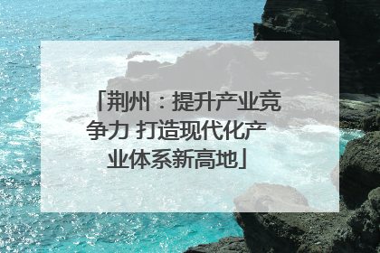 荆州：提升产业竞争力 打造现代化产业体系新高地