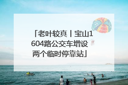 老叶较真丨宝山1604路公交车增设两个临时停靠站