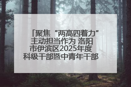 聚焦“两高四着力” 主动担当作为 洛阳市伊滨区2025年度科级干部暨中青年干部培训班开班