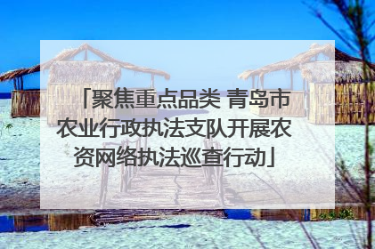 聚焦重点品类 青岛市农业行政执法支队开展农资网络执法巡查行动