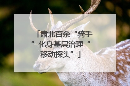 肃北百余“骑手”化身基层治理“移动探头”