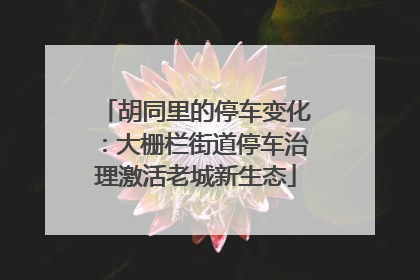胡同里的停车变化：大栅栏街道停车治理激活老城新生态