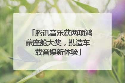 腾讯音乐获两项鸿蒙座舱大奖，携造车载音娱新体验