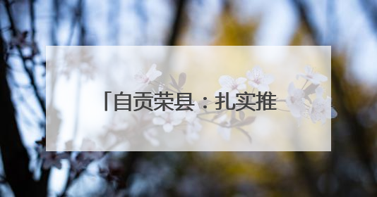 自贡荣县：扎实推进社会组织领域突出问题专项整治