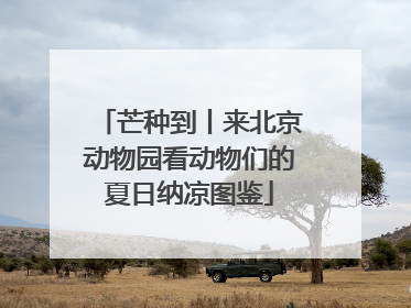 芒种到丨来北京动物园看动物们的夏日纳凉图鉴