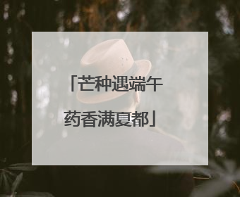 芒种遇端午 药香满夏都