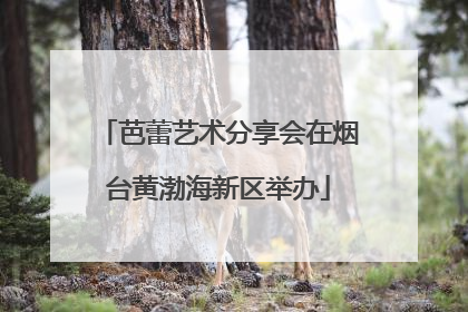 芭蕾艺术分享会在烟台黄渤海新区举办