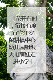 花开有时，衔接有度 宜宾江安留耕镇中心幼儿园组织大班萌娃走进小学