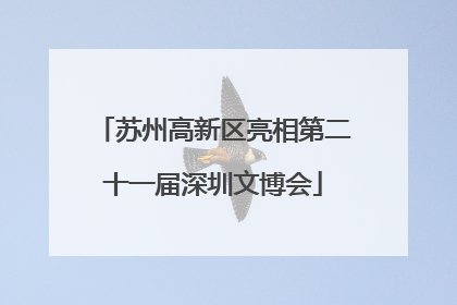 苏州高新区亮相第二十一届深圳文博会