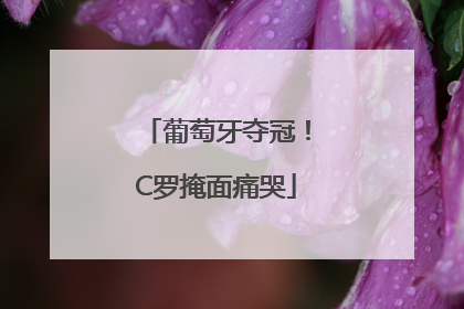 葡萄牙夺冠！C罗掩面痛哭