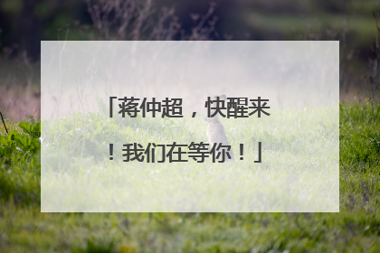 蒋仲超，快醒来！我们在等你！