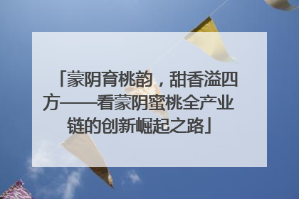蒙阴育桃韵，甜香溢四方——看蒙阴蜜桃全产业链的创新崛起之路