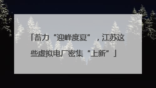 蓄力“迎峰度夏”，江苏这些虚拟电厂密集“上新”
