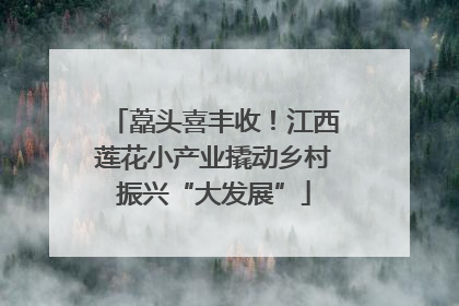 藠头喜丰收！江西莲花小产业撬动乡村振兴“大发展”