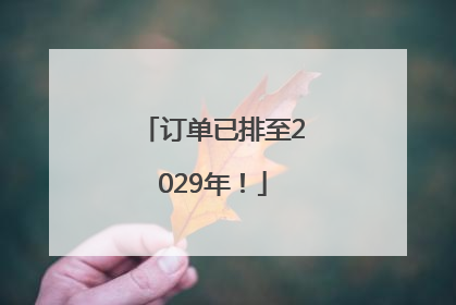 订单已排至2029年！