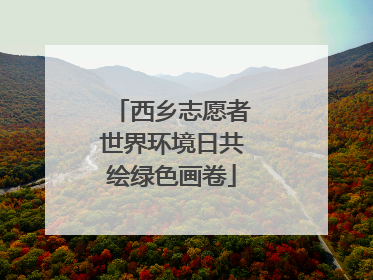 西乡志愿者世界环境日共绘绿色画卷