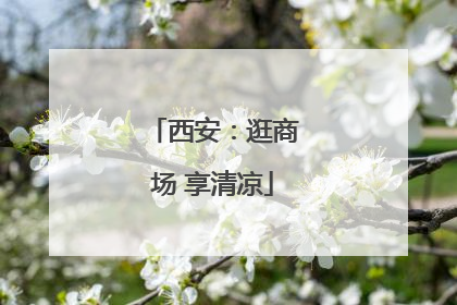 西安：逛商场 享清凉