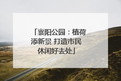 襄阳公园：植荷添新景 打造市民休闲好去处