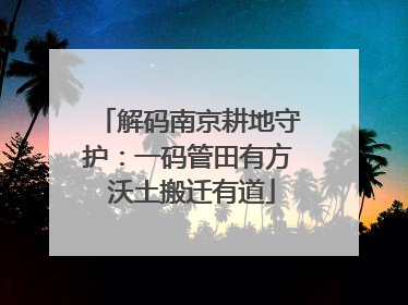 解码南京耕地守护：一码管田有方 沃土搬迁有道