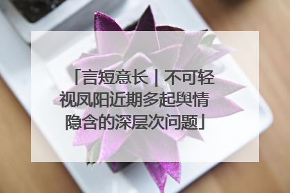言短意长｜不可轻视凤阳近期多起舆情隐含的深层次问题