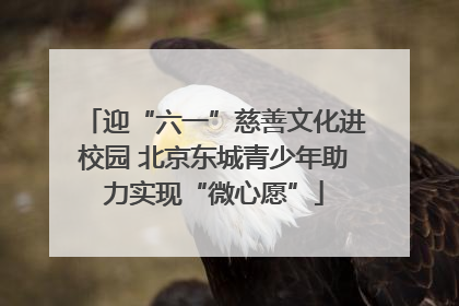 迎“六一”慈善文化进校园 北京东城青少年助力实现“微心愿”
