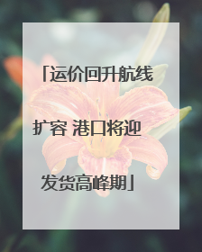 运价回升航线扩容 港口将迎发货高峰期