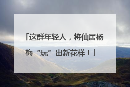 这群年轻人，将仙居杨梅“玩”出新花样！