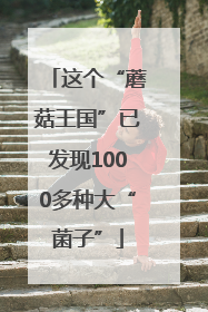 这个“蘑菇王国”已发现1000多种大“菌子”