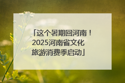 这个暑期回河南！2025河南省文化旅游消费季启动