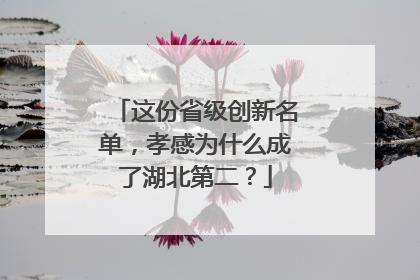 这份省级创新名单，孝感为什么成了湖北第二？