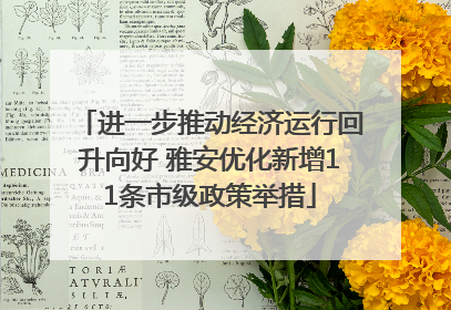 进一步推动经济运行回升向好 雅安优化新增11条市级政策举措