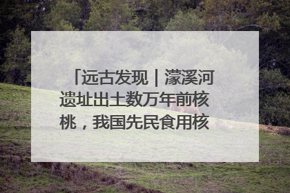 远古发现｜濛溪河遗址出土数万年前核桃，我国先民食用核桃历史大幅提前