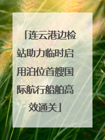 连云港边检站助力临时启用泊位首艘国际航行船舶高效通关