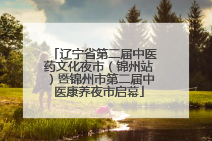 辽宁省第二届中医药文化夜市（锦州站）暨锦州市第二届中医康养夜市启幕