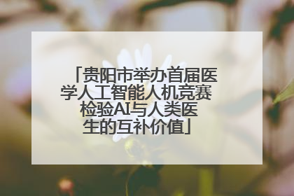 贵阳市举办首届医学人工智能人机竞赛 检验AI与人类医生的互补价值