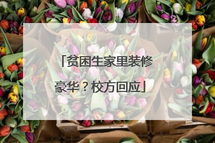 贫困生家里装修豪华？校方回应