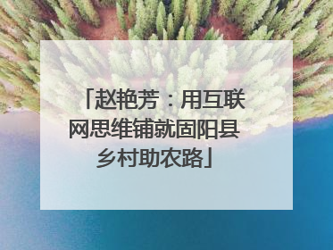 赵艳芳：用互联网思维铺就固阳县乡村助农路