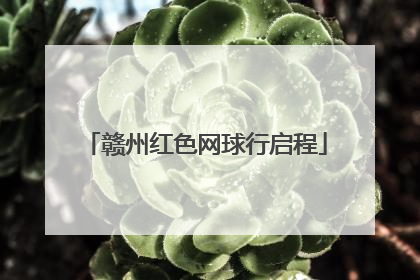 赣州红色网球行启程