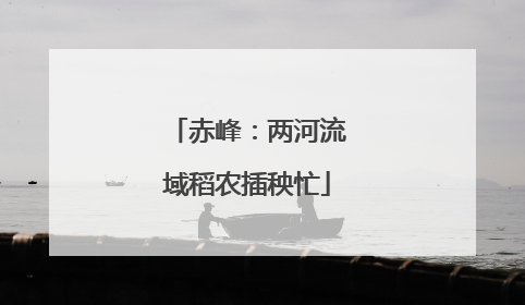 赤峰：两河流域稻农插秧忙