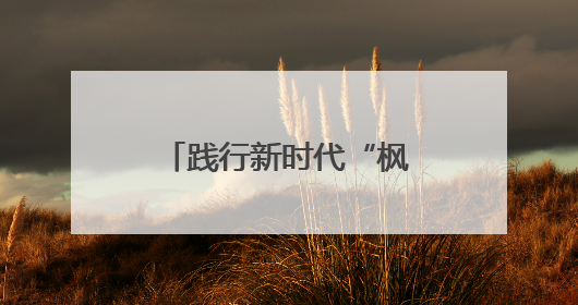 践行新时代“枫桥经验” 以“四步工作法”绘就基层治理新画卷