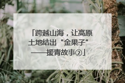 跨越山海，让高原土地结出“金果子”——援青故事②