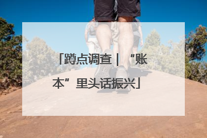 蹲点调查｜“账本”里头话振兴