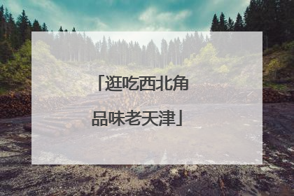 逛吃西北角 品味老天津