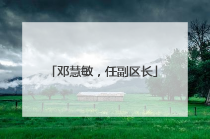 邓慧敏，任副区长