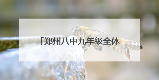 郑州八中九年级全体老师集体送考 家校合力为学子们保驾护航