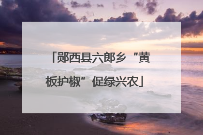 郧西县六郎乡“黄板护椒”促绿兴农