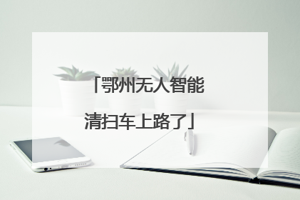 鄂州无人智能清扫车上路了