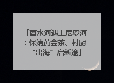 酉水河遇上尼罗河：保靖黄金茶、村厨“出海”启新途