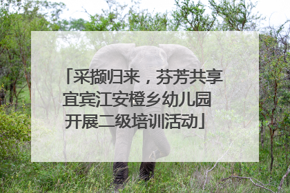 采撷归来，芬芳共享 宜宾江安橙乡幼儿园开展二级培训活动
