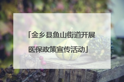 金乡县鱼山街道开展医保政策宣传活动